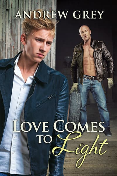 Love Comes To Light book cover