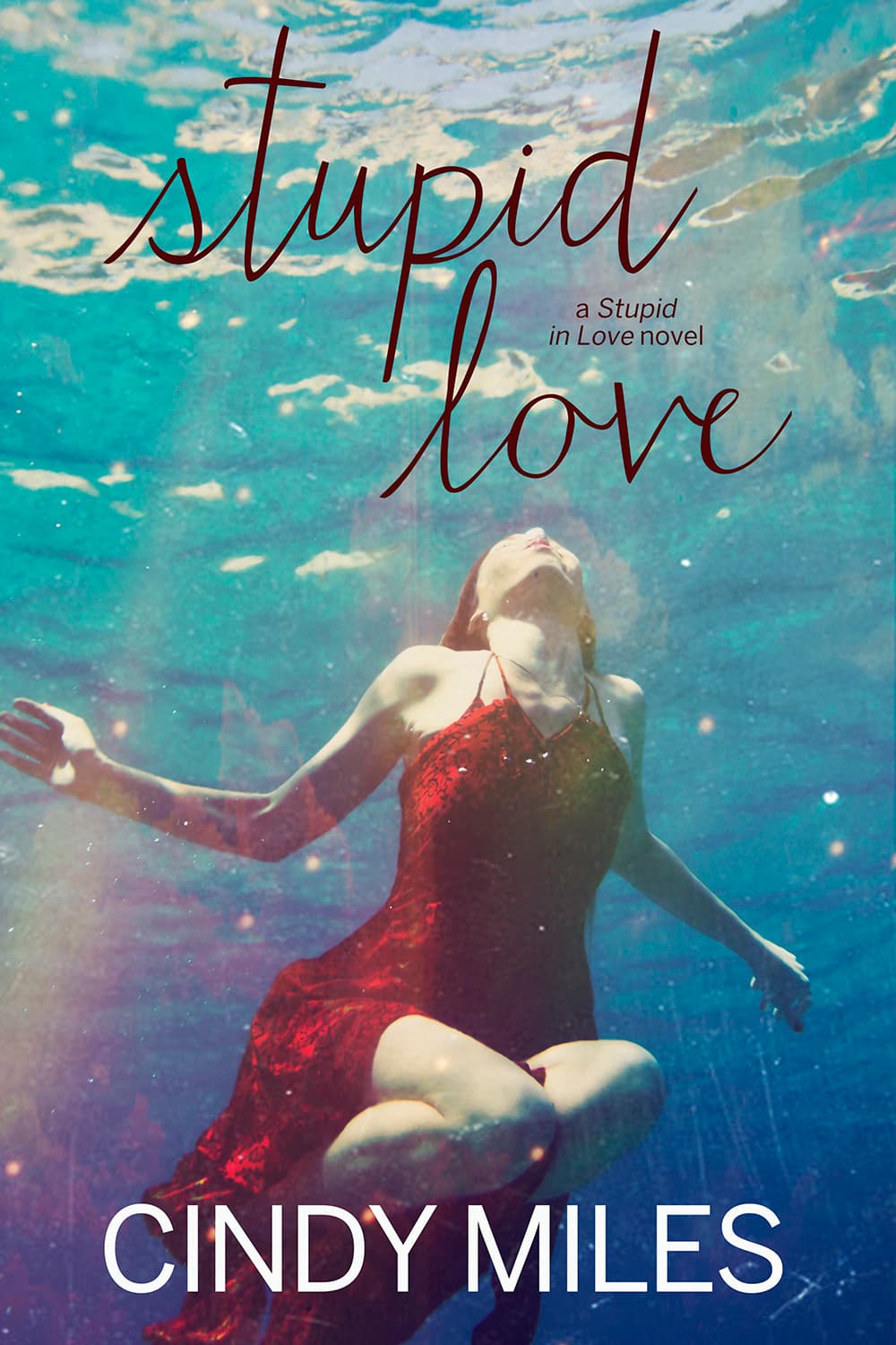 Stupid Love book cover