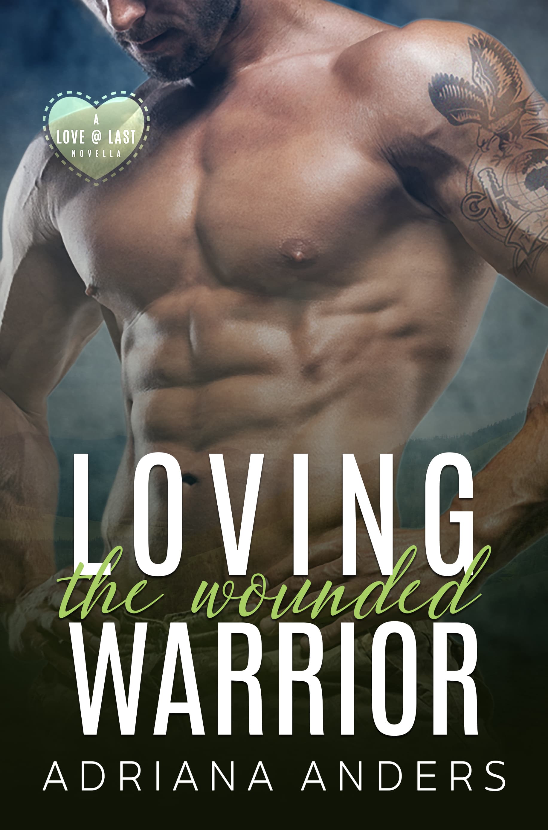 Loving the Wounded Warrior book cover