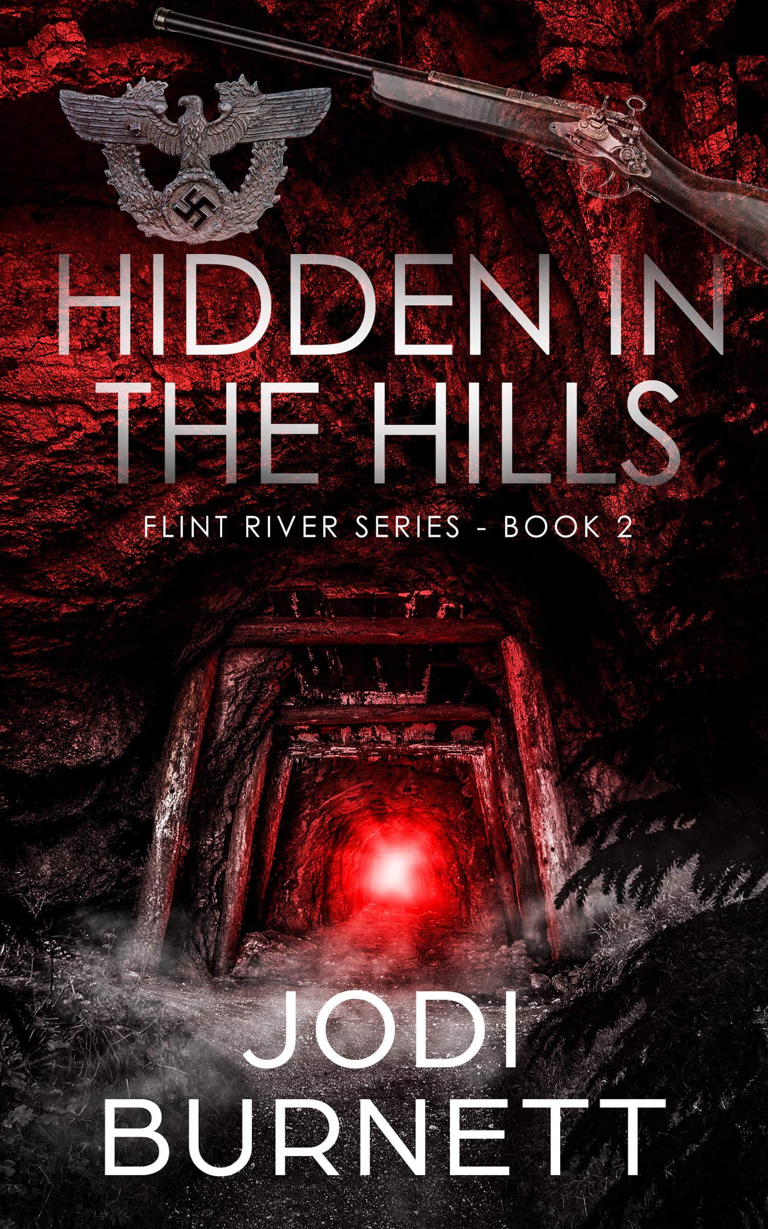 Hidden In The Hills book cover