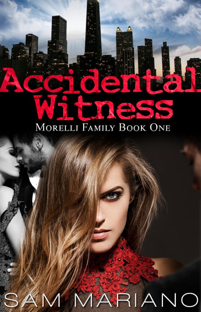 Accidental Witness book cover