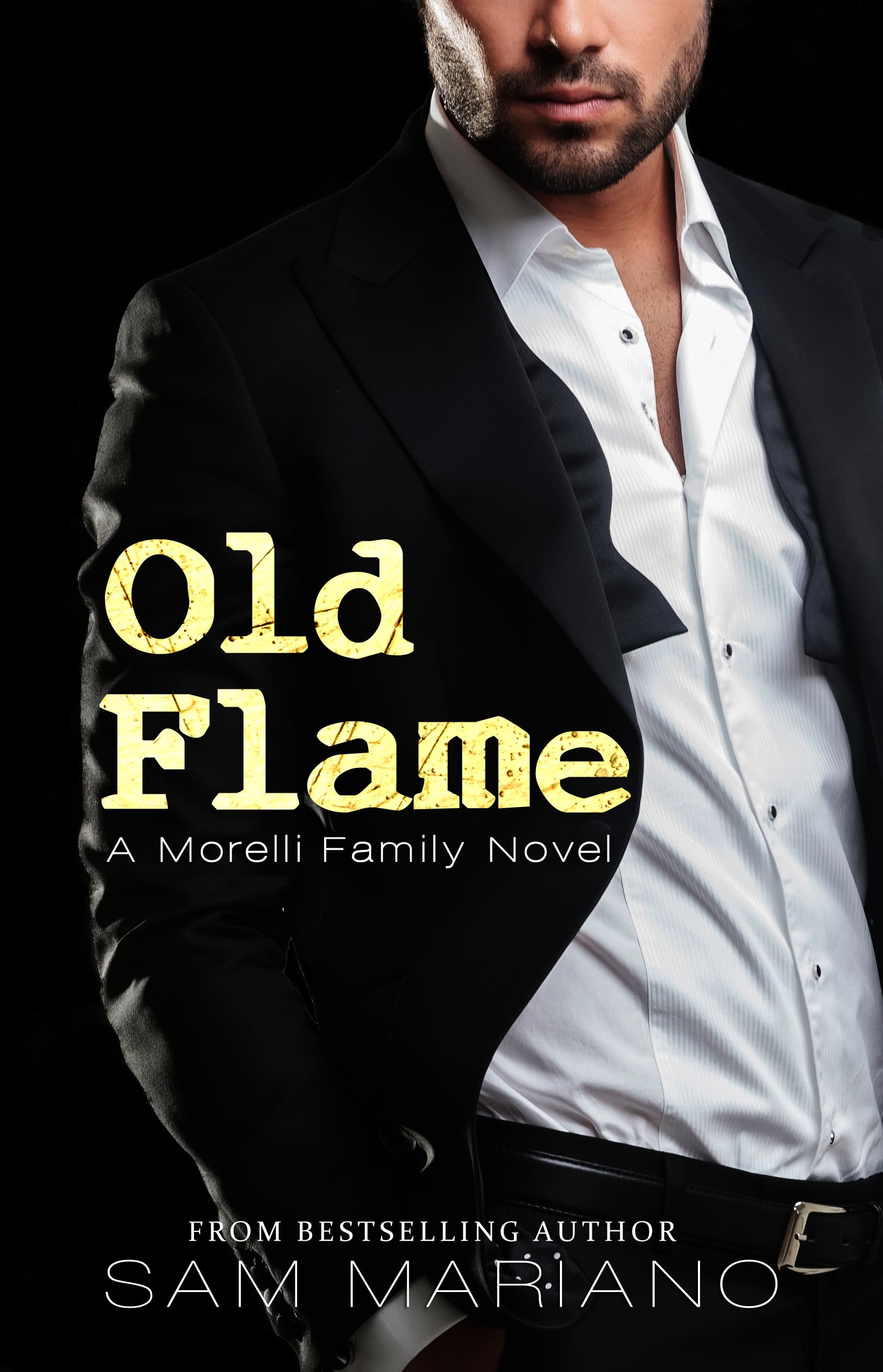 Old Flame book cover