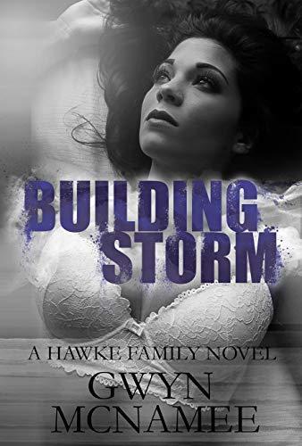 Building Storm book cover