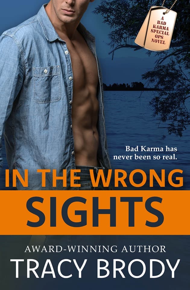 In the Wrong Sights book cover