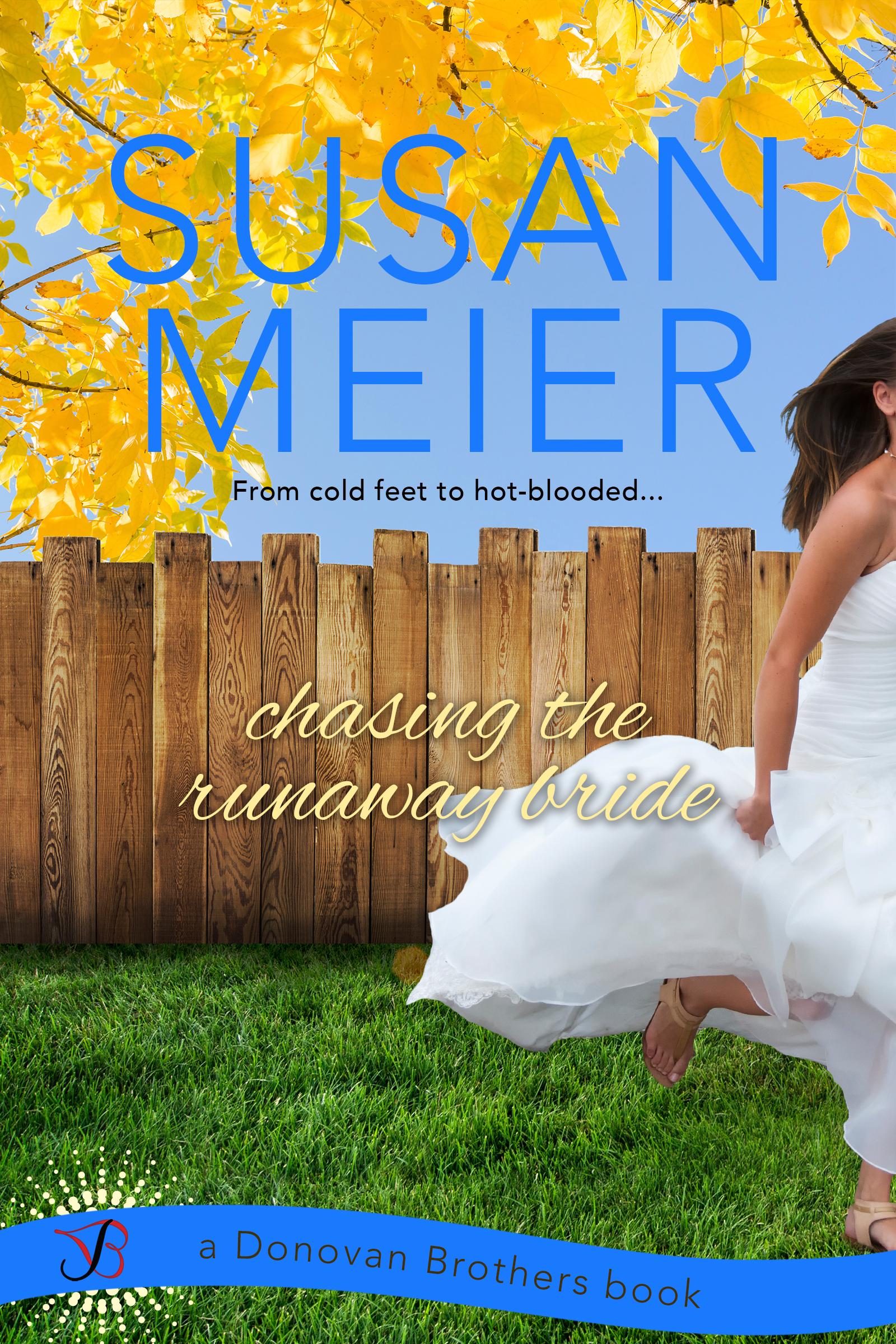Series Book Cover Preview