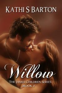 Series Book Cover Preview