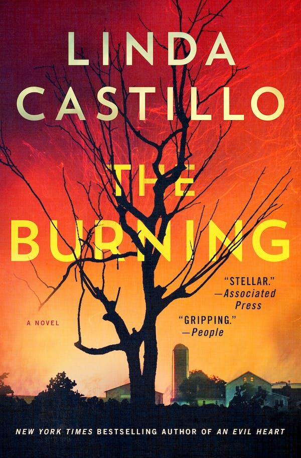 The Burning book cover