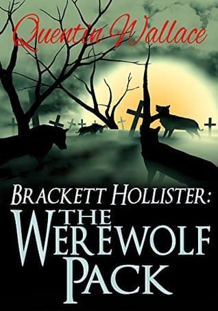 Series Book Cover Preview