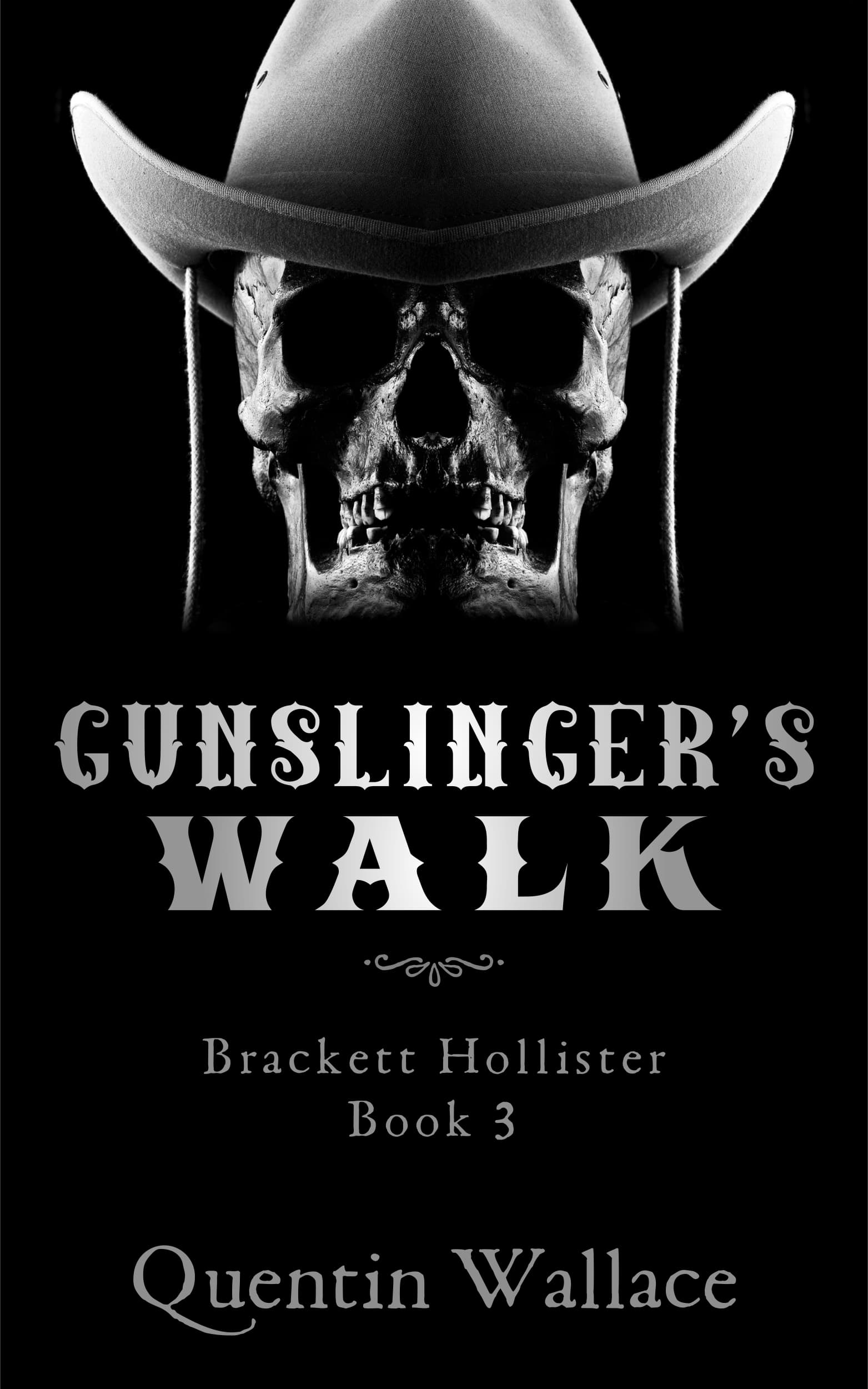 Series Book Cover Preview