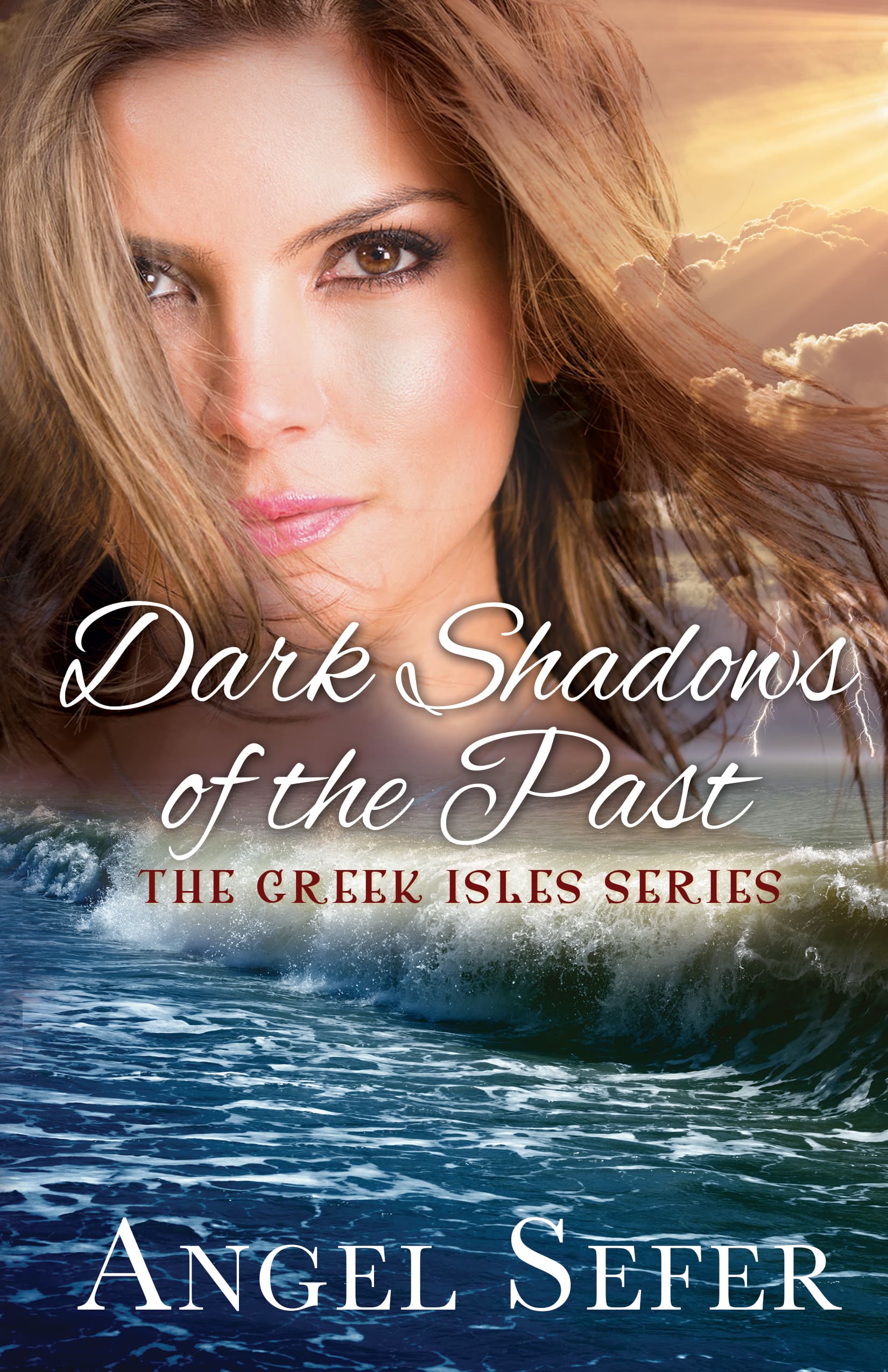 Dark Shadows of the Past book cover