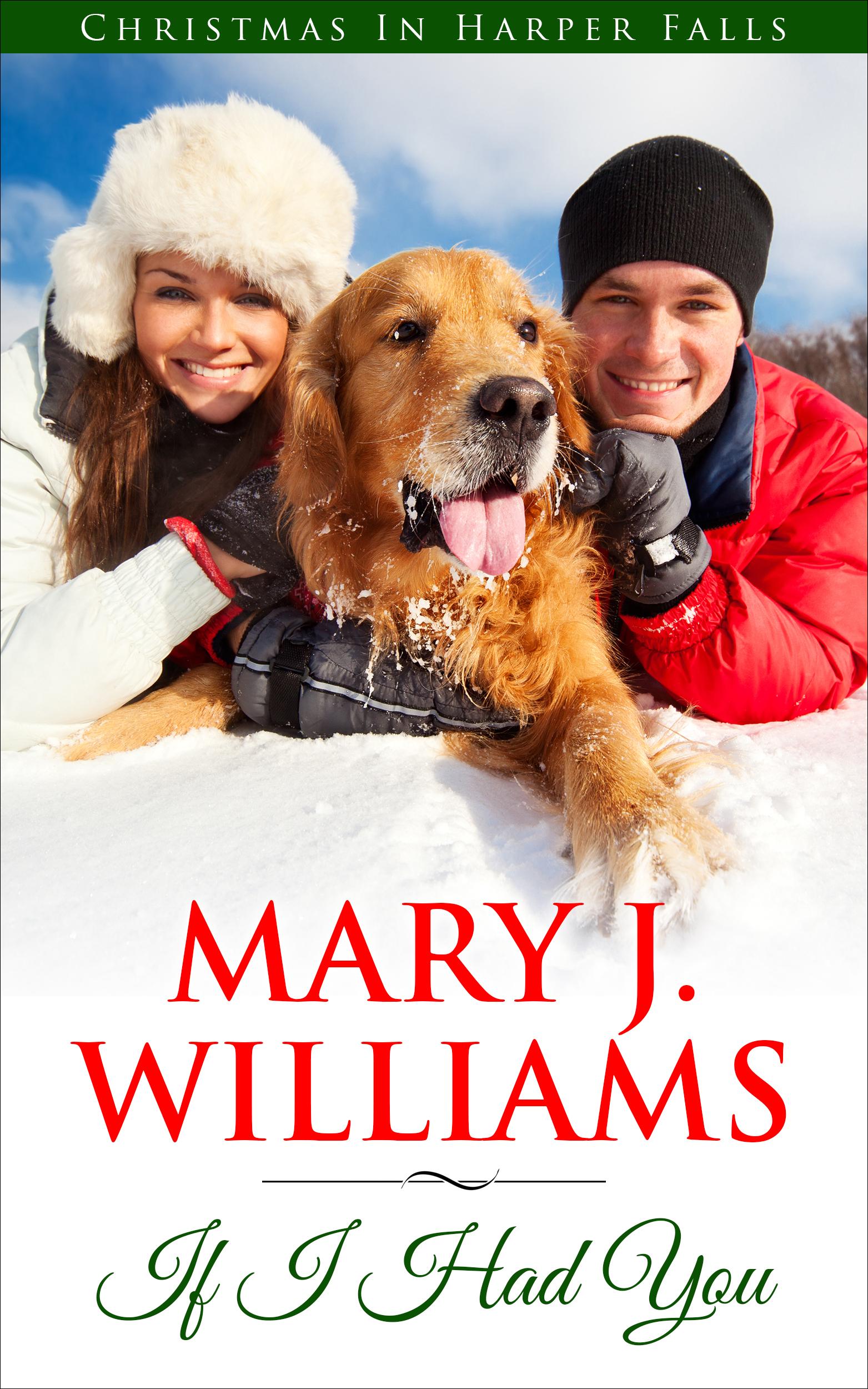 If I Had You book cover