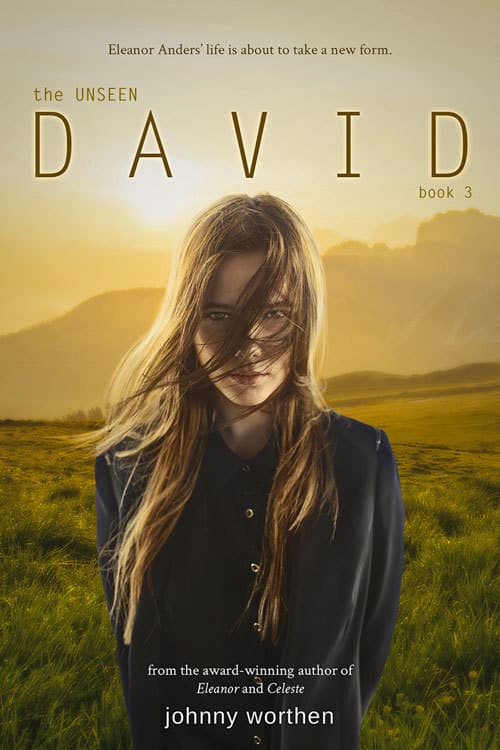 David book cover