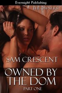 Series Book Cover Preview