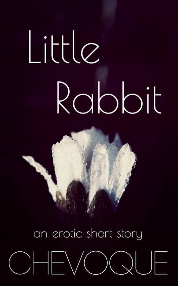 Little Rabbit book cover