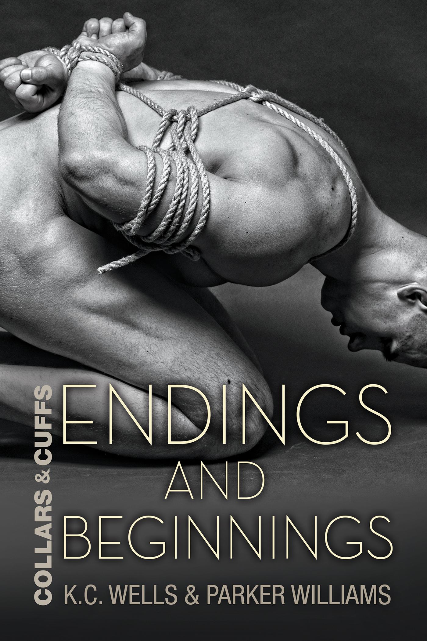 Endings and Beginnings book cover