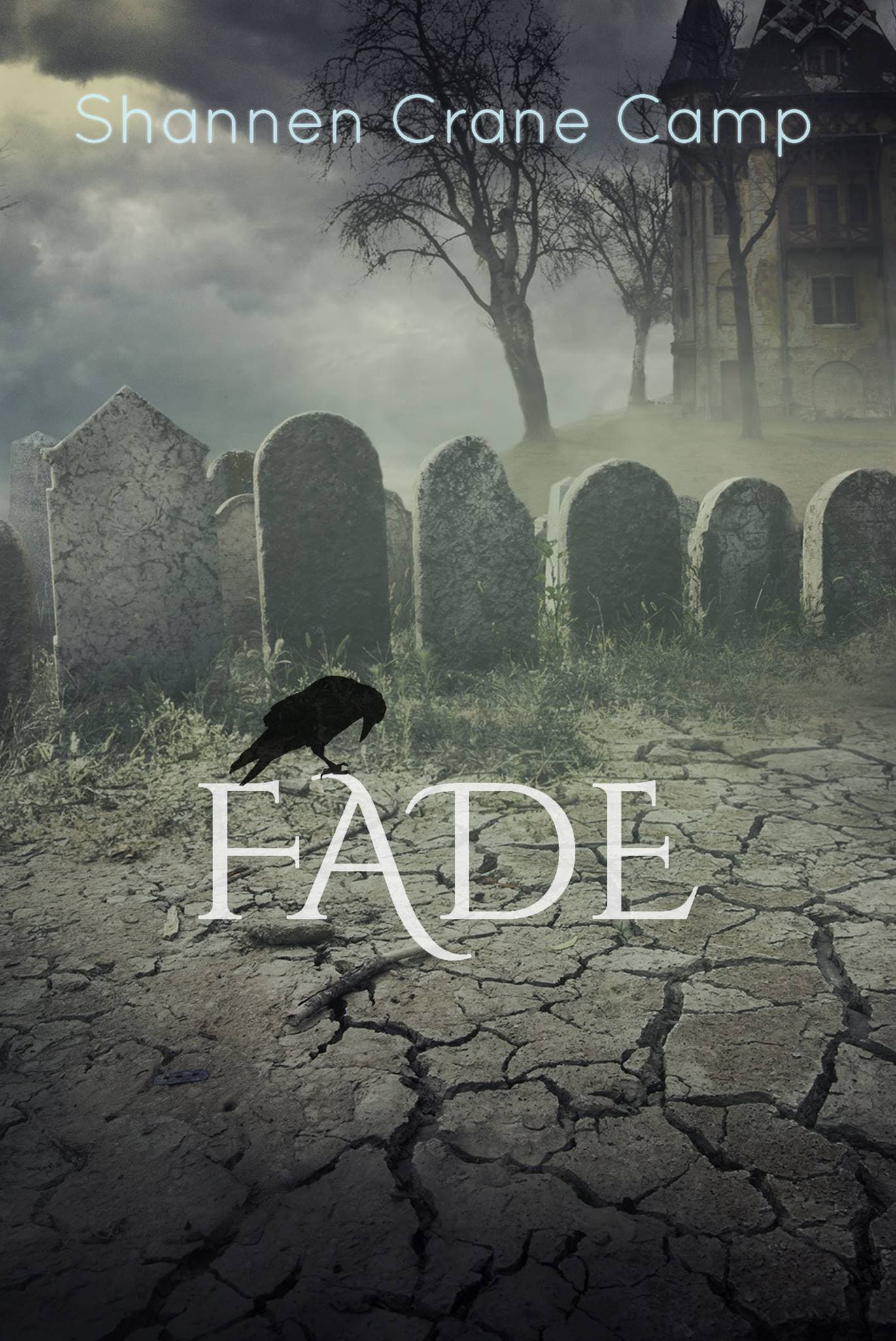 Fade book cover