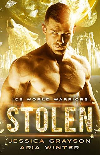 Stolen book cover
