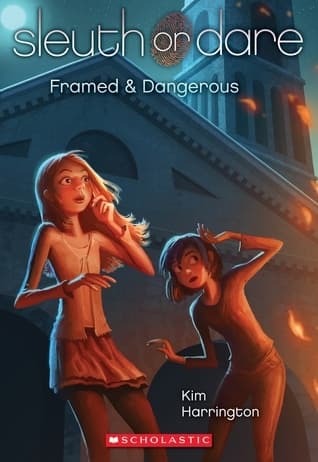 Framed & Dangerous book cover