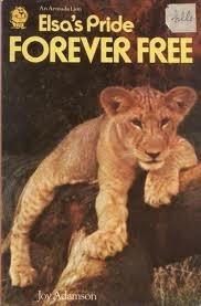 Series Book Cover Preview