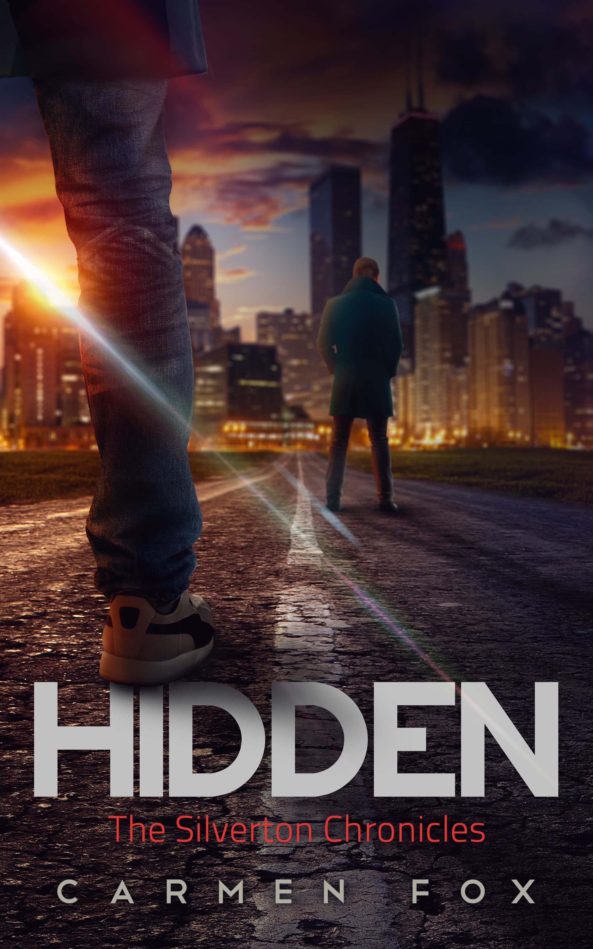 Hidden book cover