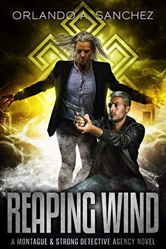Reaping Wind book cover