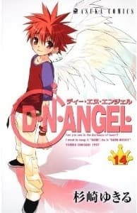 D.N.Angel, Vol. 14 book cover
