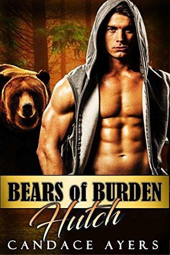 Series Book Cover Preview