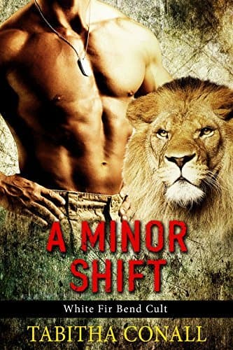 A Minor Shift book cover
