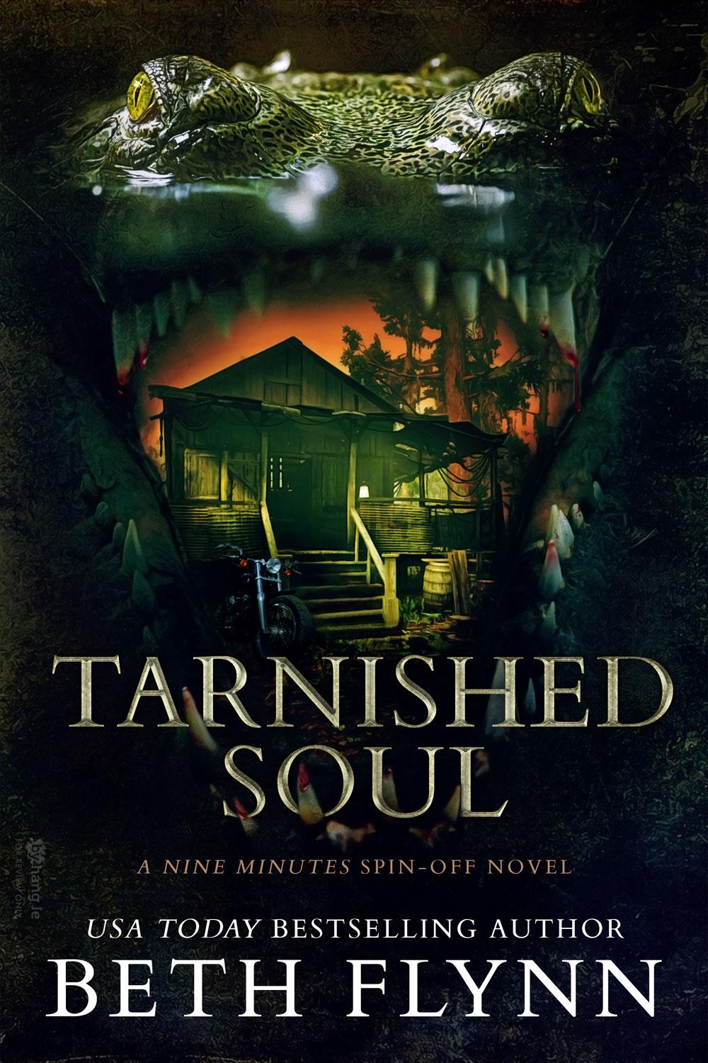 Tarnished Soul book cover