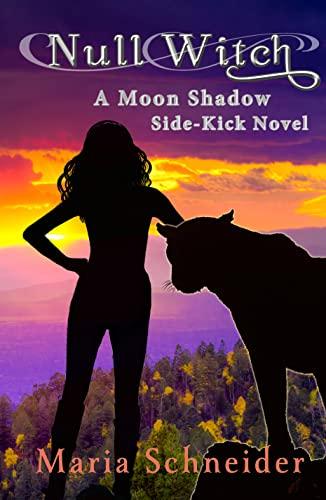 Null Witch: A Moon Shadow Sidekick Novel book cover