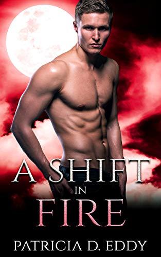 A Shift in Fire book cover