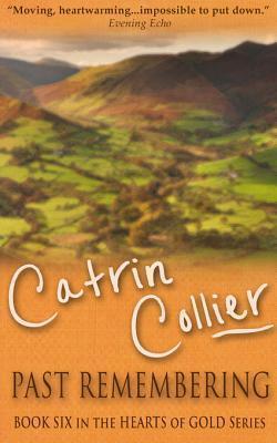 Past Remembering book cover