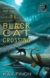 Black Cat Crossing book cover