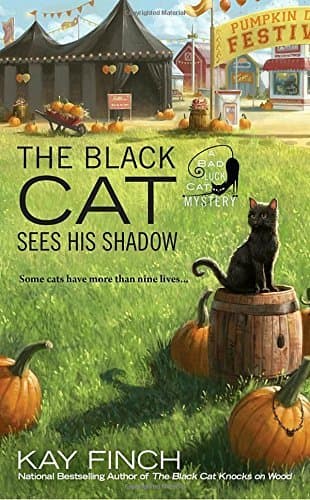 The Black Cat Sees His Shadow book cover