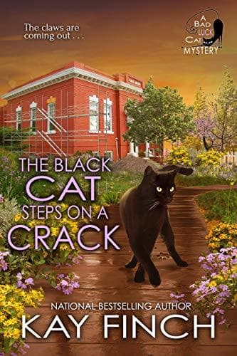 The Black Cat Steps on a Crack book cover