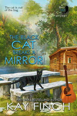 The Black Cat Breaks a Mirror