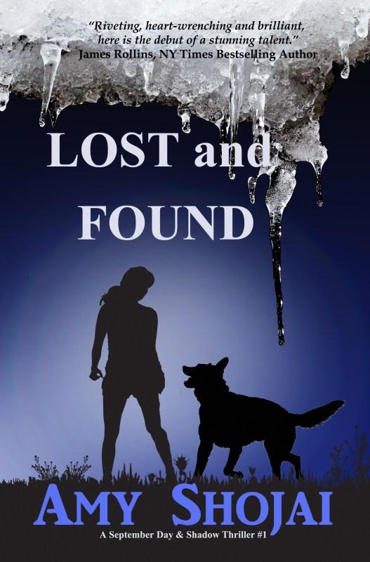 Series Book Cover Preview