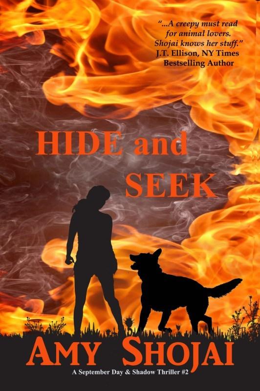 Series Book Cover Preview