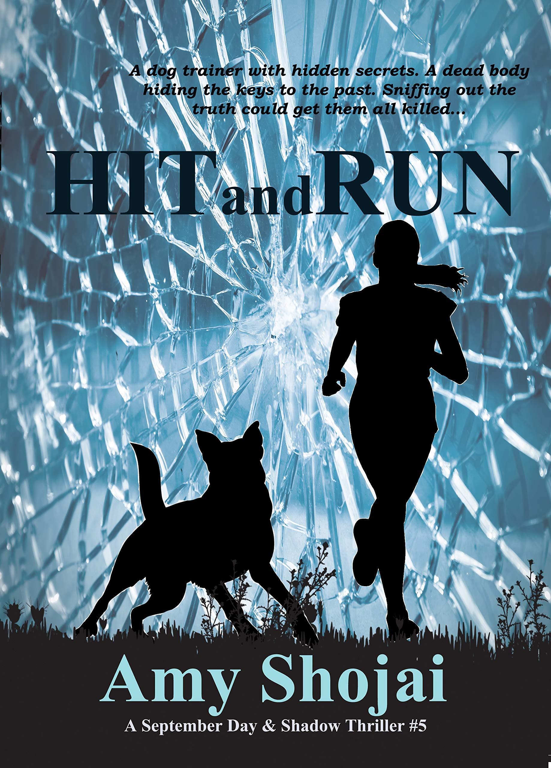 Hit And Run book cover
