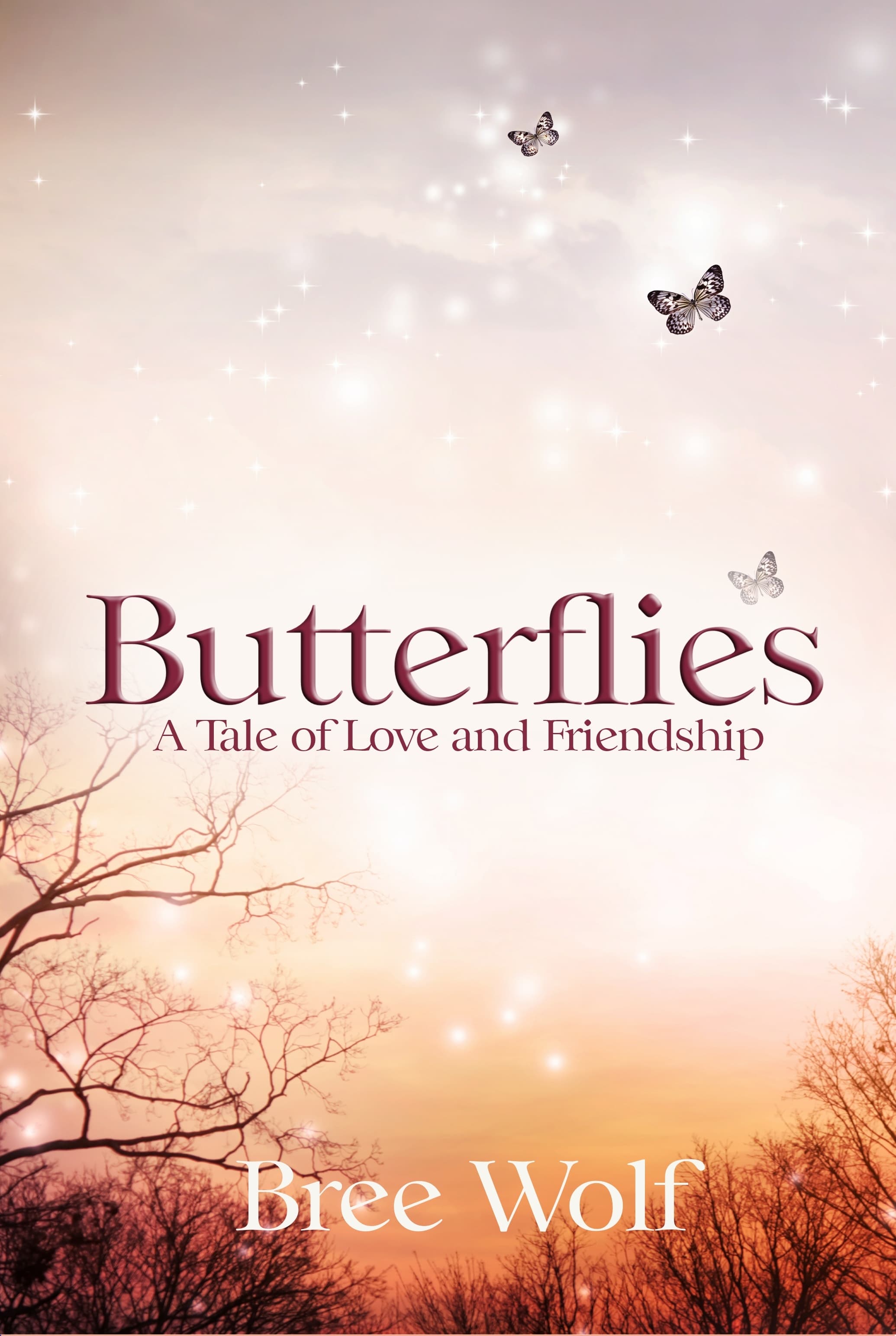 Butterflies - A Tale of Love and Friendship book cover