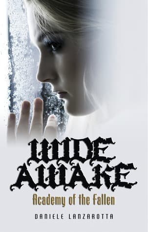 Wide Awake book cover