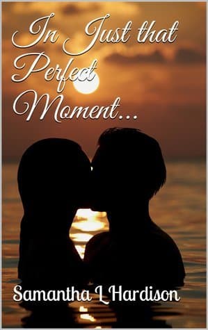 In Just that Perfect Moment... book cover