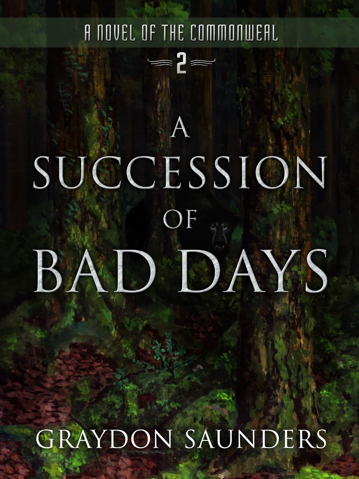 A Succession of Bad Days book cover