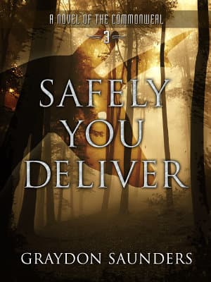 Safely You Deliver book cover