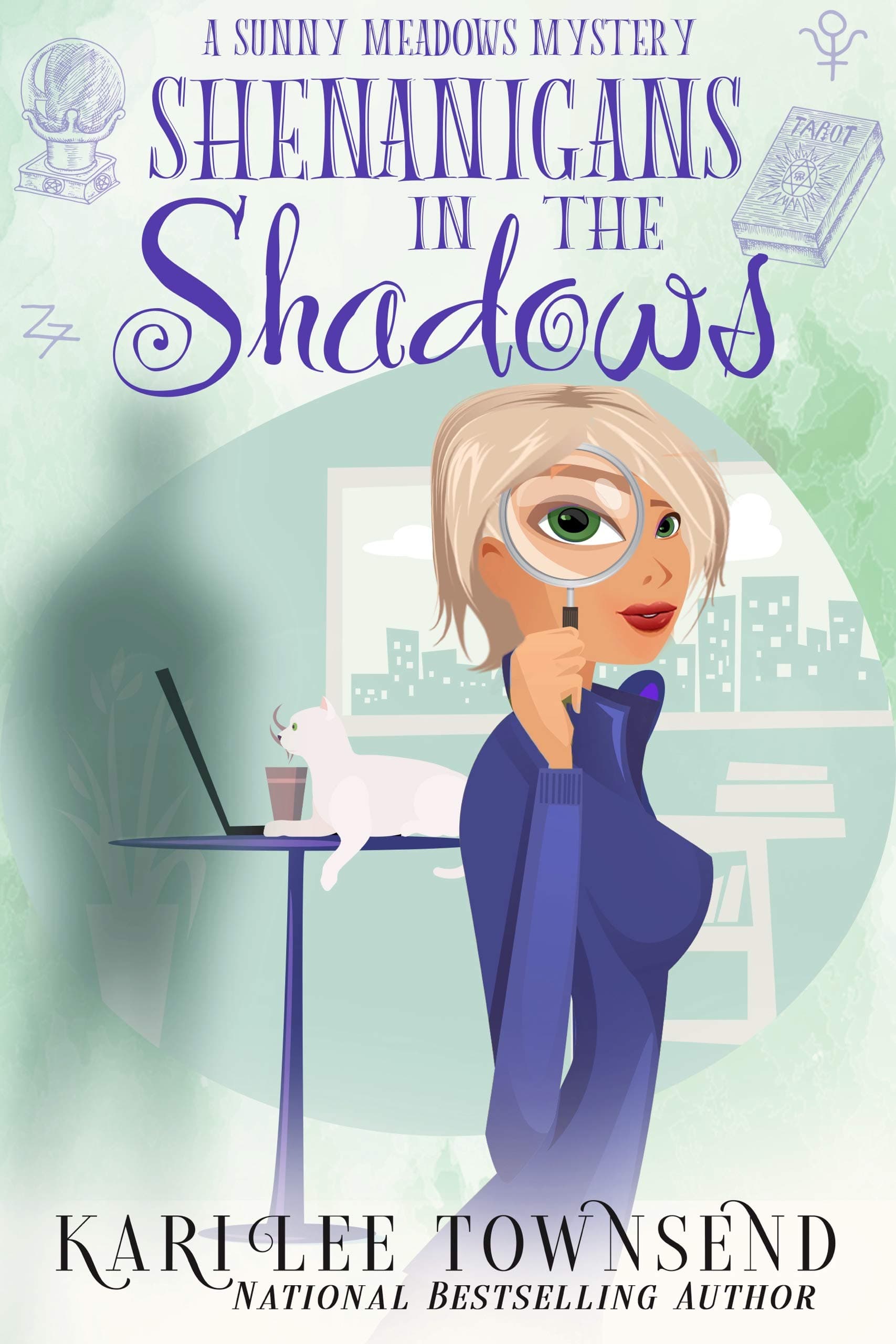 Shenanigans in the Shadows book cover