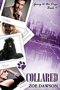 Collared book cover