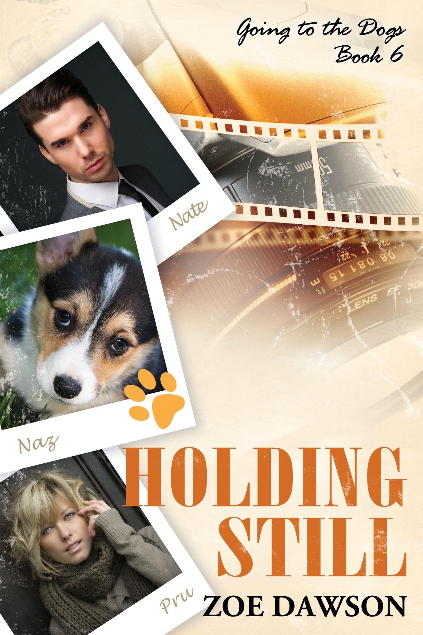 Holding Still book cover
