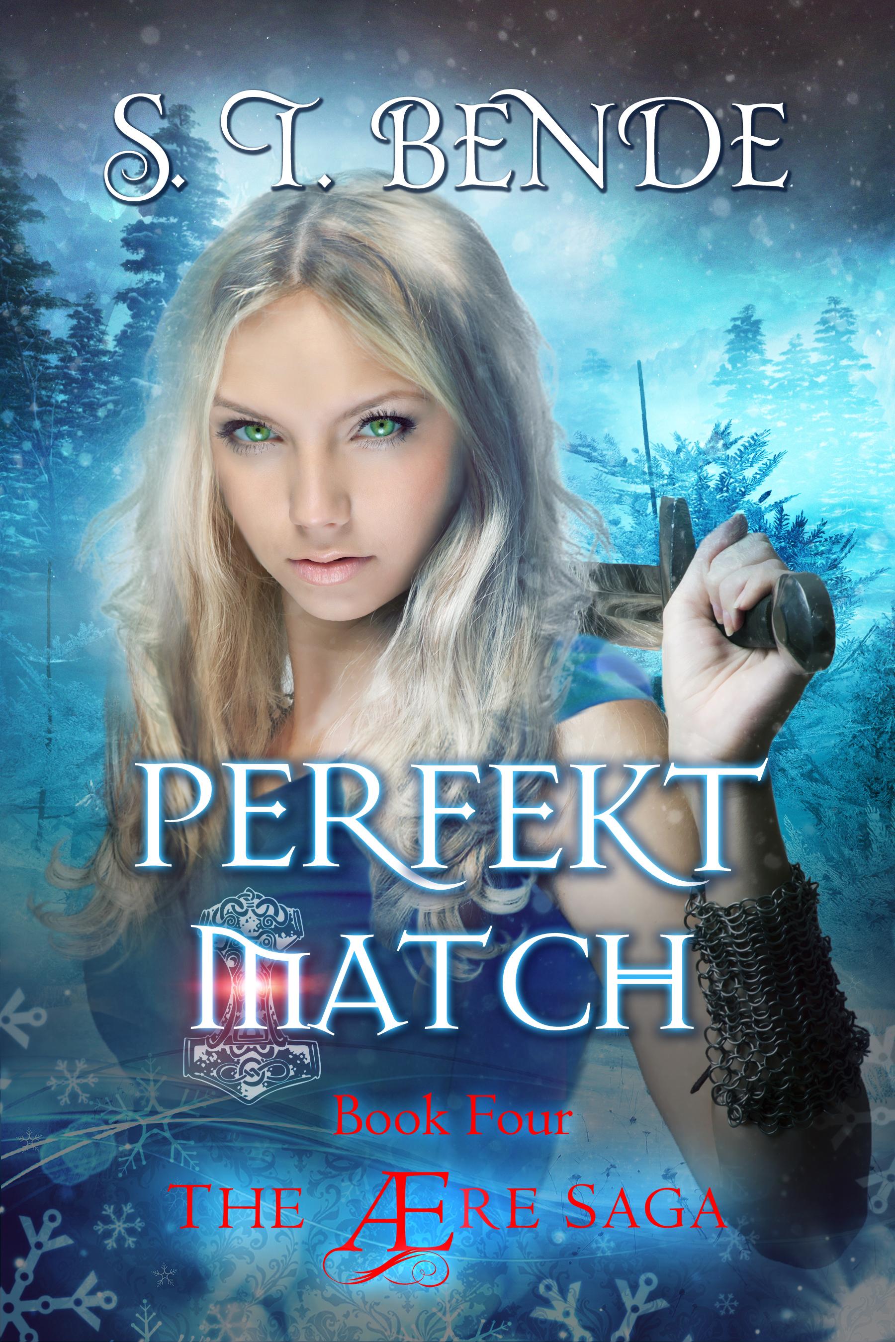 Perfekt Match book cover