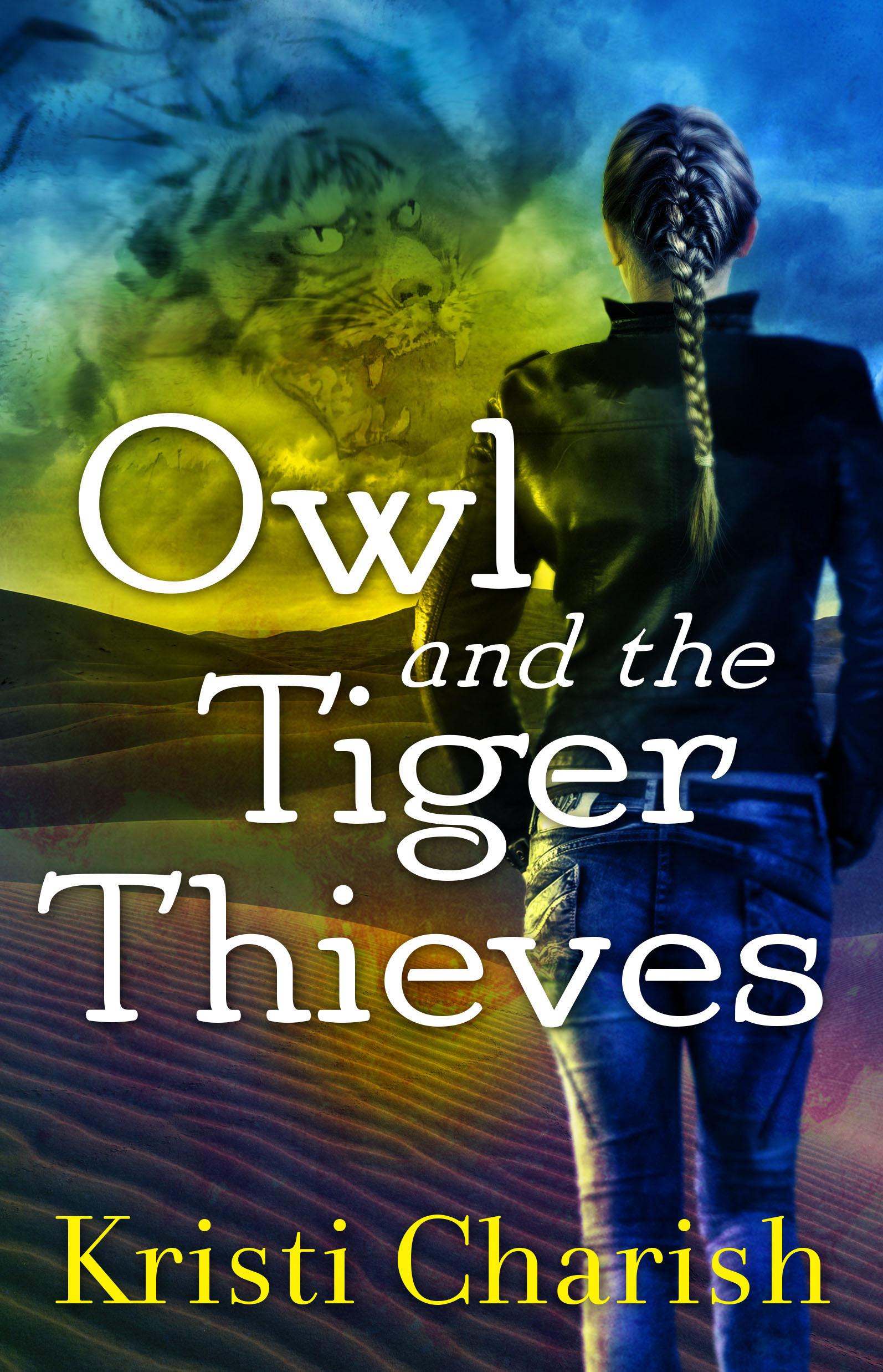 Owl and the Tiger Thieves book cover