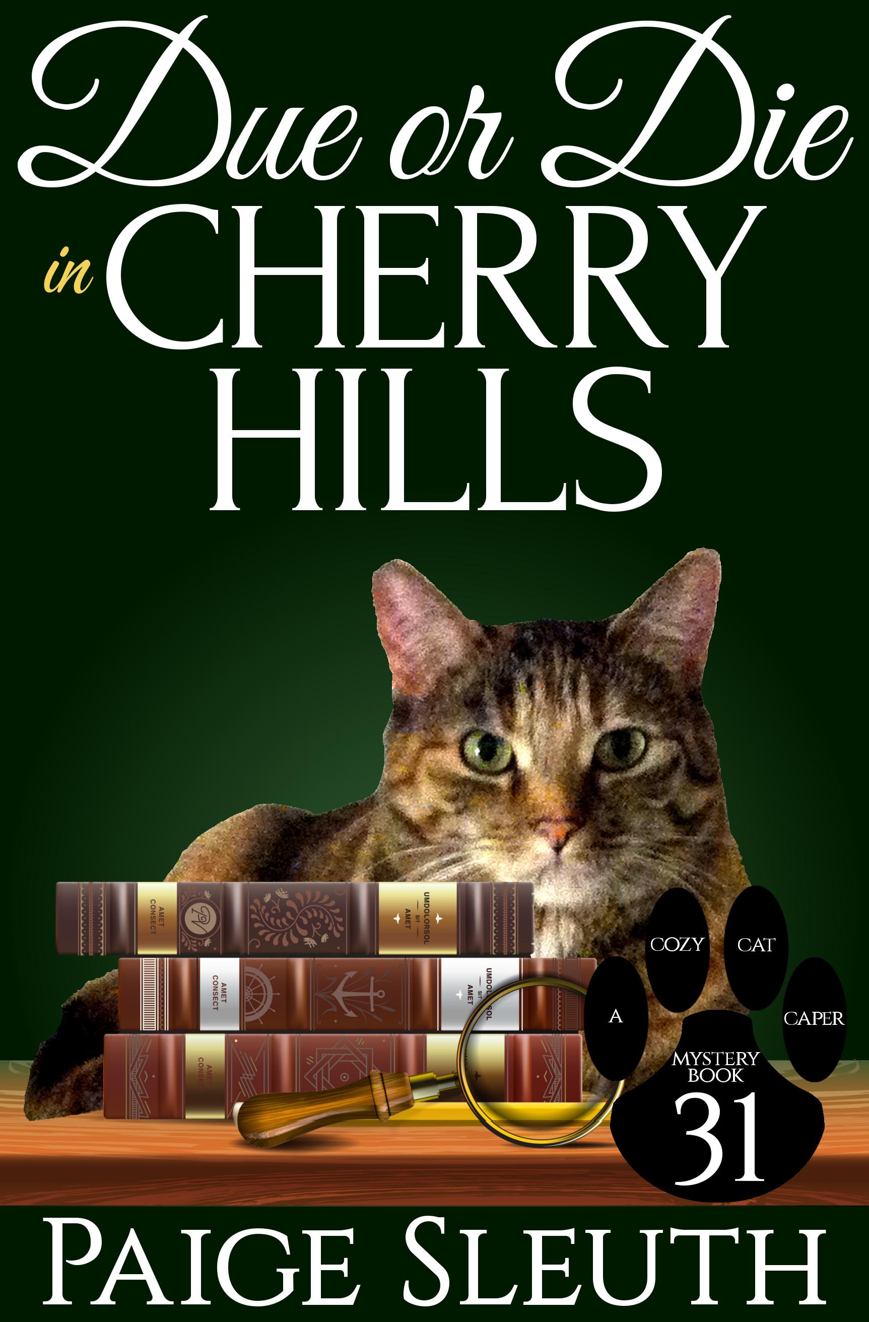 Due or Die in Cherry Hills book cover